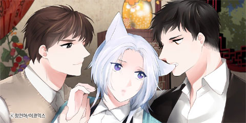 유성이 내리는 거리